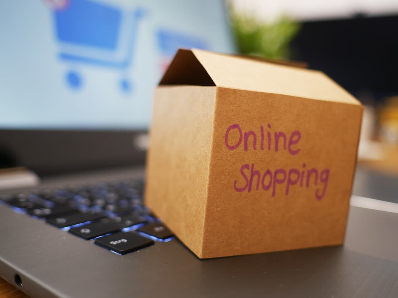 A Detailed Guide to Launching a Successful Amazon Private Label Business